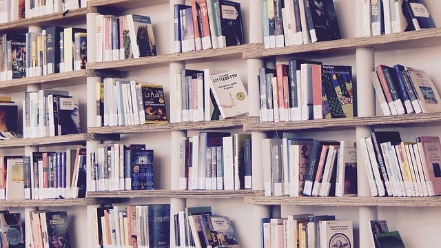 Photo of a bookshelf full of books from Pixabay CC0