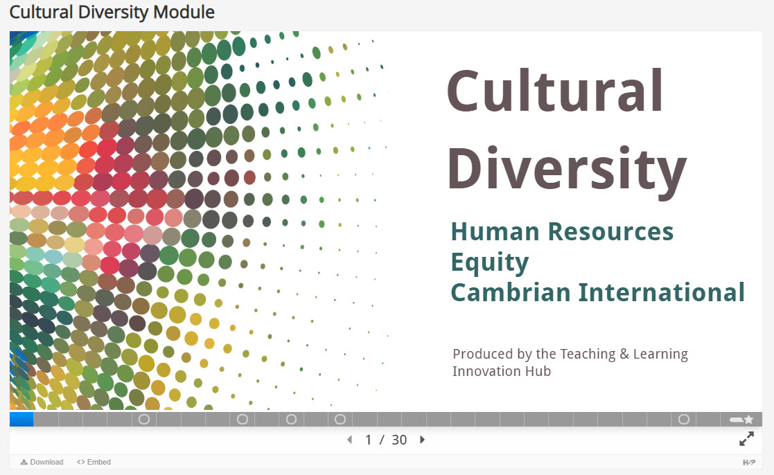 Cultural Diversity HR Module